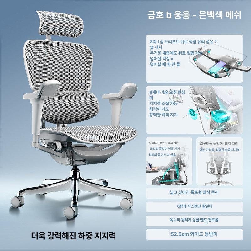 Ergohuman B이글 인체공학 사무용 의자, 회전식 높이 조절 팔걸이, 실버화이트 상세 이미지 1