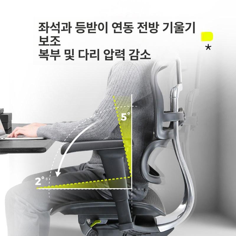 Ergohuman B이글 인체공학 사무용 의자, 회전식 높이 조절 팔걸이, 실버화이트 상세 이미지 2