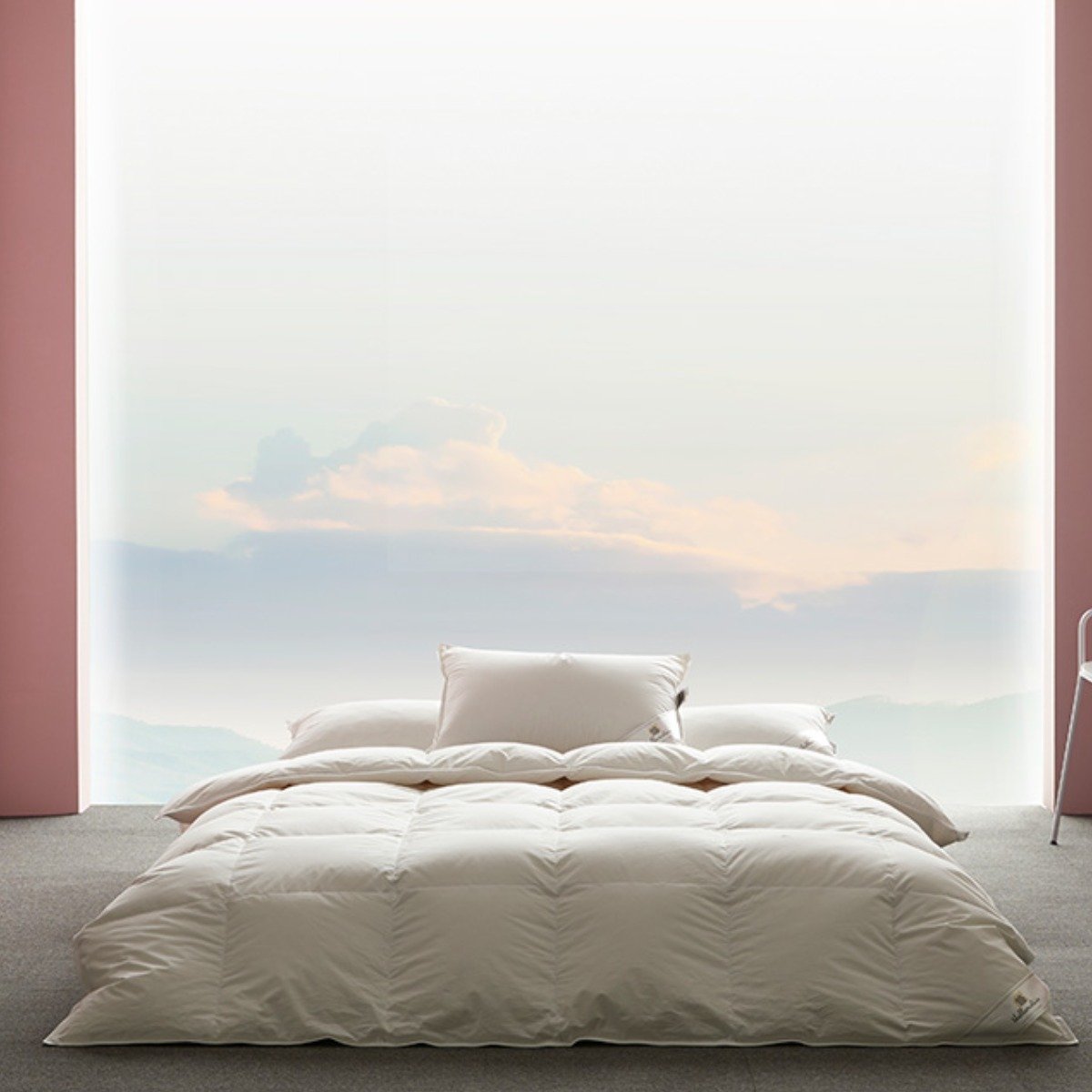 헬렌스타인 [헬렌스타인] 엑스트라웜 마자르 구스 이불 Q, 상세 설명 참조, 옵션:Q(800g) 상세 이미지 1
